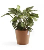 Ecopots kunststof bloempot amsterdam 40x35 cm terracotta     - afbeelding 5
