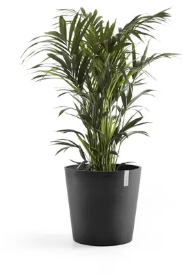 Ecopots kunststof bloempot amsterdam 50x44 cm donker grijs     - afbeelding 7