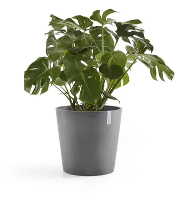 Ecopots kunststof bloempot amsterdam 50x44 cm grijs     - afbeelding 2
