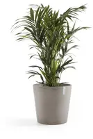 Ecopots kunststof bloempot amsterdam 50x44 cm taupe     - afbeelding 7