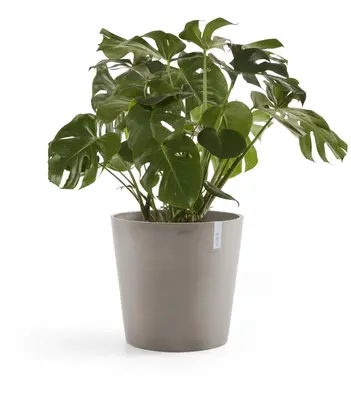 Ecopots kunststof bloempot amsterdam 50x44 cm taupe     - afbeelding 3