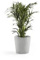 Ecopots kunststof bloempot amsterdam 50x44 cm witgrijs     - afbeelding 4