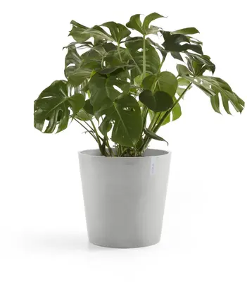 Ecopots kunststof bloempot amsterdam 50x44 cm witgrijs     - afbeelding 2