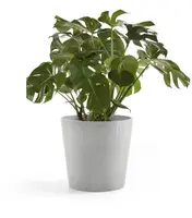 Ecopots kunststof bloempot amsterdam 50x44 cm witgrijs     - afbeelding 2