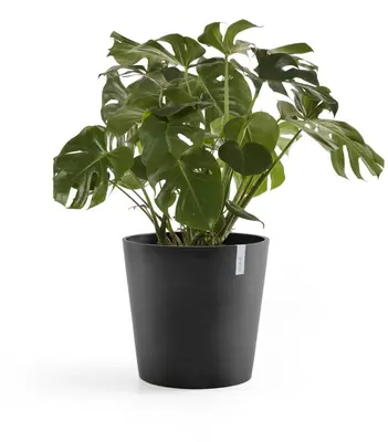 Ecopots kunststof bloempot amsterdam 60x54.8 cm donker grijs     - afbeelding 7