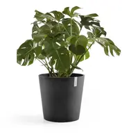 Ecopots kunststof bloempot amsterdam 60x54.8 cm donker grijs     - afbeelding 7