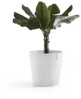 Ecopots kunststof bloempot amsterdam 60x54.8 cm puurwit     - afbeelding 2
