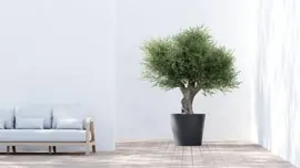 Ecopots kunststof bloempot amsterdam 70x61.3 cm donkergrijs     - afbeelding 4