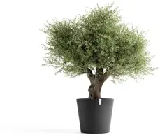 Ecopots kunststof bloempot amsterdam 70x61.3 cm donkergrijs     - afbeelding 2