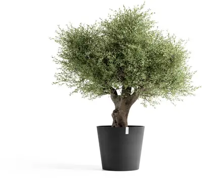 Ecopots kunststof bloempot amsterdam 70x61.3 cm donkergrijs     - afbeelding 8