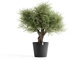 Ecopots kunststof bloempot amsterdam 70x61.3 cm donkergrijs     - afbeelding 8