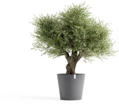 Ecopots kunststof bloempot amsterdam 70x61.3 cm grijs     - afbeelding 2