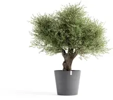 Ecopots kunststof bloempot amsterdam 70x61.3 cm grijs     - afbeelding 2
