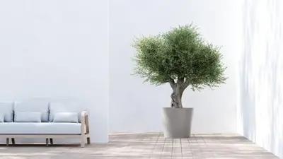 Ecopots kunststof bloempot amsterdam 70x61.3 cm taupe     - afbeelding 4