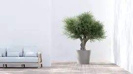 Ecopots kunststof bloempot amsterdam 70x61.3 cm taupe     - afbeelding 4