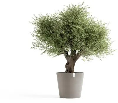 Ecopots kunststof bloempot amsterdam 70x61.3 cm taupe     - afbeelding 2