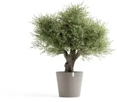 Ecopots kunststof bloempot amsterdam 70x61.3 cm taupe     - afbeelding 2