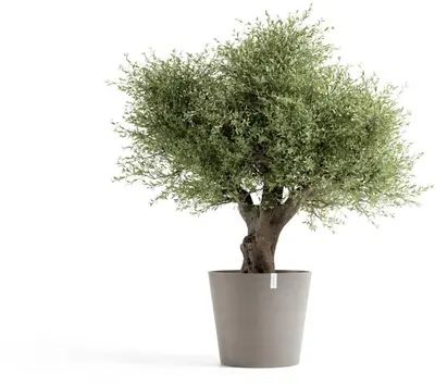 Ecopots kunststof bloempot amsterdam 70x61.3 cm taupe     - afbeelding 8