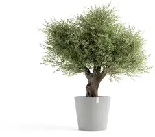 Ecopots kunststof bloempot amsterdam 70x61.3 cm witgrijs     - afbeelding 2