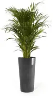Ecopots kunststof bloempot amsterdam hoog 34x66 cm donkergrijs     - afbeelding 8