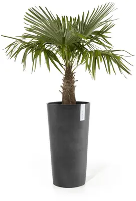 Ecopots kunststof bloempot amsterdam hoog 34x66 cm donkergrijs     - afbeelding 2