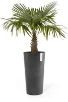 Ecopots kunststof bloempot amsterdam hoog 34x66 cm donkergrijs     - afbeelding 2