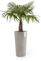Ecopots kunststof bloempot amsterdam hoog 34x66 cm taupe     - afbeelding 2