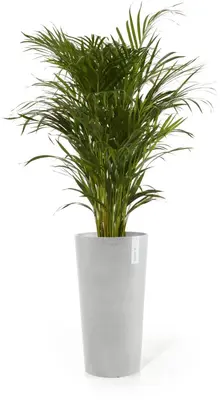 Ecopots kunststof bloempot amsterdam hoog 34x66 cm witgrijs     - afbeelding 2