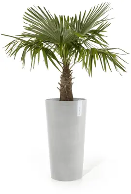 Ecopots kunststof bloempot amsterdam hoog 34x66 cm witgrijs     - afbeelding 3