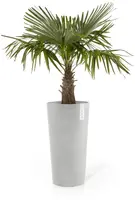 Ecopots kunststof bloempot amsterdam hoog 34x66 cm witgrijs     - afbeelding 3