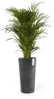 Ecopots kunststof bloempot amsterdam hoog 41.5x76.8 cm donker grijs     - afbeelding 2