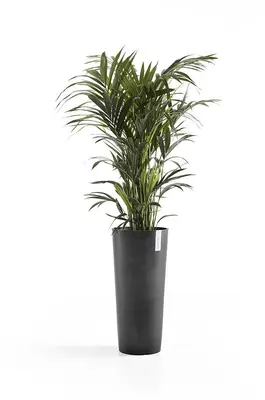 Ecopots kunststof bloempot amsterdam hoog 41.5x76 cm grijs     - afbeelding 2