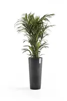 Ecopots kunststof bloempot amsterdam hoog 41.5x76 cm grijs     - afbeelding 2