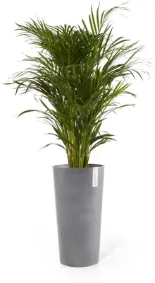 Ecopots kunststof bloempot amsterdam hoog 66x66 cm grijs     - afbeelding 2