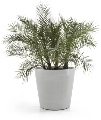 Ecopots kunststof bloempot amsterdam met wielen 100.2x88.7 cm witgrijs     - afbeelding 2