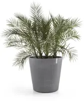 Ecopots kunststof bloempot amsterdam met wielen 100.2x88.7 cm grijs     - afbeelding 2