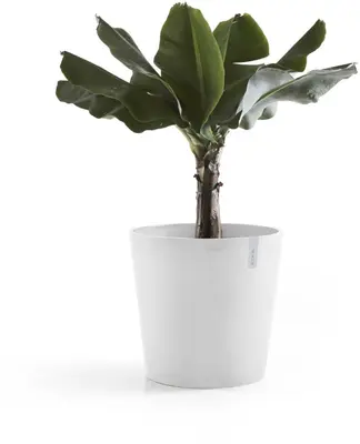 Ecopots kunststof bloempot amsterdam met wielen 60x54.8 cm puurwit     - afbeelding 9