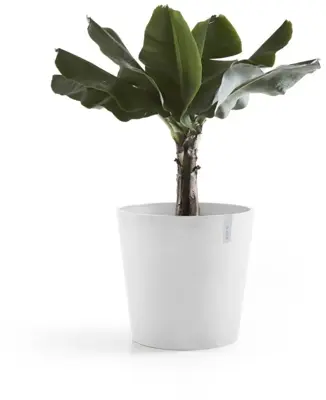 Ecopots kunststof bloempot amsterdam met wielen 60x54.8 cm puurwit     - afbeelding 2