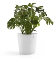 Ecopots kunststof bloempot amsterdam met wielen 60x54.8 cm puurwit     - afbeelding 7