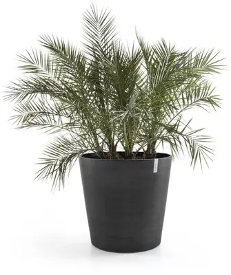 Ecopots kunststof bloempot amsterdam met wielen 60x56 cm donker grijs     - afbeelding 5