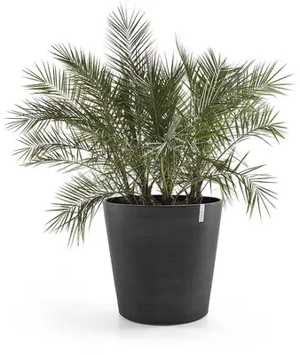 Ecopots kunststof bloempot amsterdam met wielen 60x56 cm donker grijs     - afbeelding 3