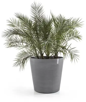 Ecopots kunststof bloempot amsterdam met wielen 60x56 cm grijs     - afbeelding 3