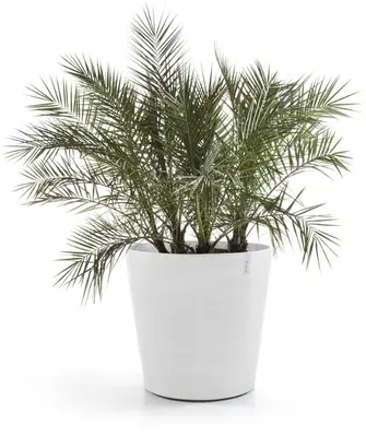 Ecopots kunststof bloempot amsterdam met wielen 60x56 cm puurwit     - afbeelding 2