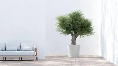 Ecopots kunststof bloempot amsterdam met wielen 70x61.3 cm puurwit     - afbeelding 4