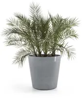 Ecopots kunststof bloempot amsterdam met wielen 80x74.2 cm blauwgrijs     - afbeelding 2