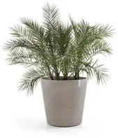 Ecopots kunststof bloempot amsterdam met wielen 80x74.2 cm taupe     - afbeelding 3