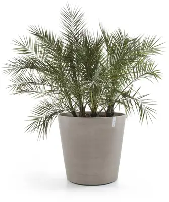 Ecopots kunststof bloempot amsterdam met wielen 80x74.2 cm taupe     - afbeelding 5