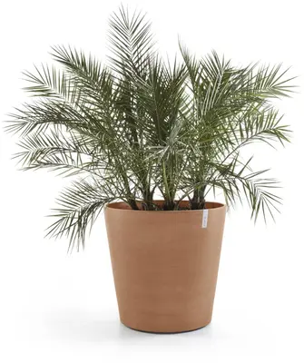 Ecopots kunststof bloempot amsterdam met wielen 80x74.2 cm terracotta     - afbeelding 2
