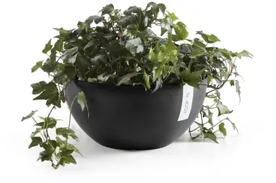 Ecopots kunststof bloempot brussels 25x12 cm donkergrijs     - afbeelding 2