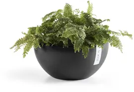 Ecopots kunststof bloempot brussels 25x12 cm donkergrijs     - afbeelding 5